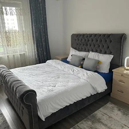 Апартаменты Penthouse Mario Тимишоара