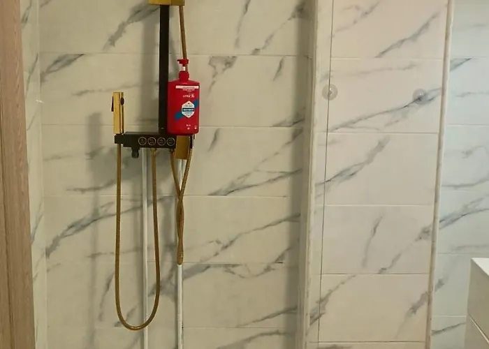 Penthouse Mario Тимишоара