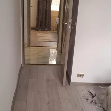 Апартаменты Penthouse Mario Тимишоара