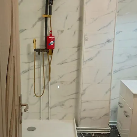 Апартаменты Penthouse Mario Тимишоара