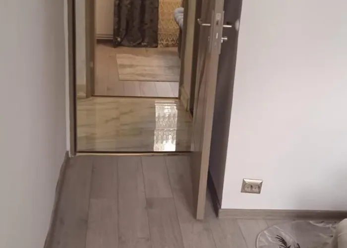 Apartamento Penthouse Mario Timişoara